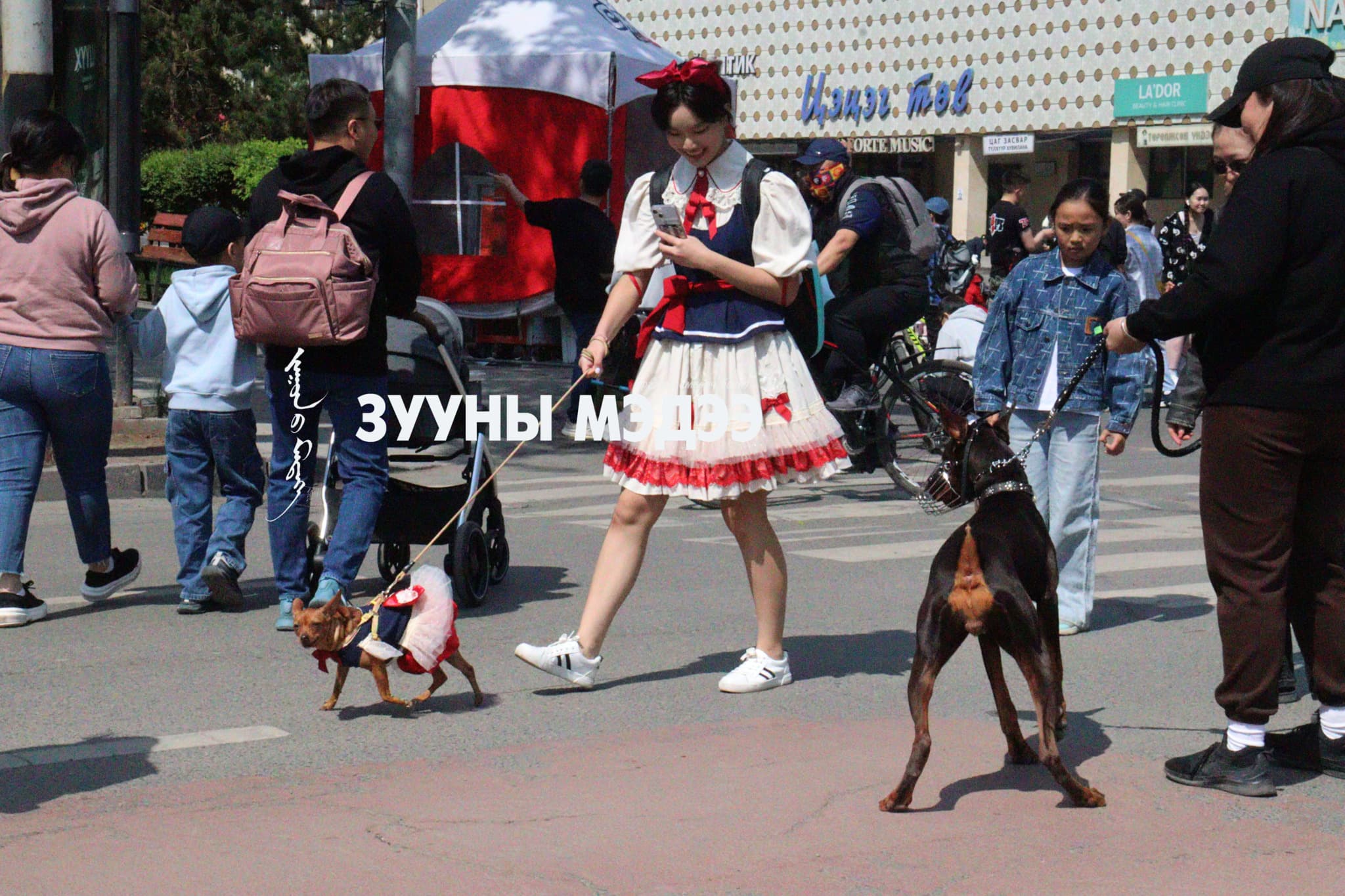 Баруун, төвийн аймгуудаар нойтон цас орж, шуурна